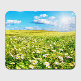 Коврик прямоугольный с принтом Ромашковый ковёр в Петрозаводске, натуральный каучук | размер 230 х 185 мм; запечатка лицевой стороны | Тематика изображения на принте: горизонт | зелень | небо | облака | поле | поляна | ромашки | солнце | цветы