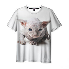 Мужская футболка 3D с принтом Сфинкс 1 в Петрозаводске, 100% полиэфир | прямой крой, круглый вырез горловины, длина до линии бедер | кот | котенок | котик | котэ | кошка | сфинкс