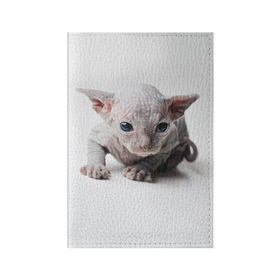 Обложка для паспорта матовая кожа с принтом Сфинкс 1 в Петрозаводске, натуральная матовая кожа | размер 19,3 х 13,7 см; прозрачные пластиковые крепления | кот | котенок | котик | котэ | кошка | сфинкс