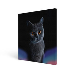 Холст квадратный с принтом Британец 1 в Петрозаводске, 100% ПВХ |  | Тематика изображения на принте: британец | британская | британцы | кот | котенок | котик | котэ | кошка