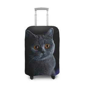 Чехол для чемодана 3D с принтом Британец 1 в Петрозаводске, 86% полиэфир, 14% спандекс | двустороннее нанесение принта, прорези для ручек и колес | Тематика изображения на принте: британец | британская | британцы | кот | котенок | котик | котэ | кошка
