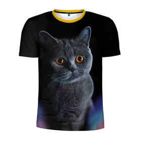Мужская футболка 3D спортивная с принтом Британец 1 в Петрозаводске, 100% полиэстер с улучшенными характеристиками | приталенный силуэт, круглая горловина, широкие плечи, сужается к линии бедра | Тематика изображения на принте: британец | британская | британцы | кот | котенок | котик | котэ | кошка