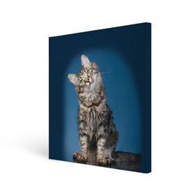 Холст квадратный с принтом Мейн-кун 2 в Петрозаводске, 100% ПВХ |  | Тематика изображения на принте: кот | котенок | котик | котэ | кошка | мейн кун | мейнкун | мэйн кун | мэйнкун