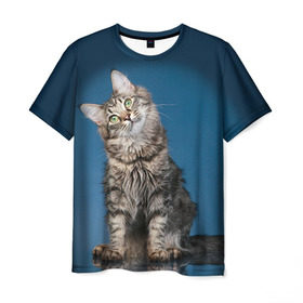 Мужская футболка 3D с принтом Мейн-кун 2 в Петрозаводске, 100% полиэфир | прямой крой, круглый вырез горловины, длина до линии бедер | Тематика изображения на принте: кот | котенок | котик | котэ | кошка | мейн кун | мейнкун | мэйн кун | мэйнкун