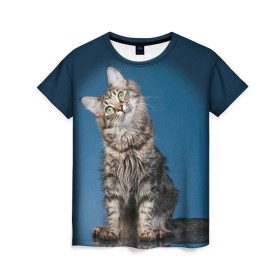 Женская футболка 3D с принтом Мейн-кун 2 в Петрозаводске, 100% полиэфир ( синтетическое хлопкоподобное полотно) | прямой крой, круглый вырез горловины, длина до линии бедер | Тематика изображения на принте: кот | котенок | котик | котэ | кошка | мейн кун | мейнкун | мэйн кун | мэйнкун