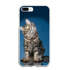 Чехол для iPhone 7Plus/8 Plus матовый с принтом Мейн-кун 2 в Петрозаводске, Силикон | Область печати: задняя сторона чехла, без боковых панелей | кот | котенок | котик | котэ | кошка | мейн кун | мейнкун | мэйн кун | мэйнкун