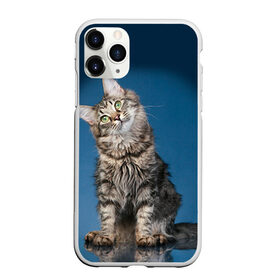 Чехол для iPhone 11 Pro Max матовый с принтом Мейн-кун 2 в Петрозаводске, Силикон |  | кот | котенок | котик | котэ | кошка | мейн кун | мейнкун | мэйн кун | мэйнкун