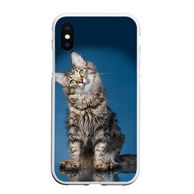 Чехол для iPhone XS Max матовый с принтом Мейн-кун 2 в Петрозаводске, Силикон | Область печати: задняя сторона чехла, без боковых панелей | кот | котенок | котик | котэ | кошка | мейн кун | мейнкун | мэйн кун | мэйнкун