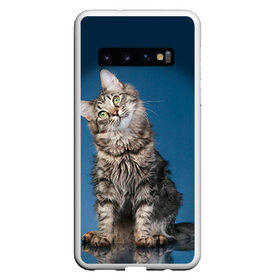 Чехол для Samsung Galaxy S10 с принтом Мейн-кун 2 в Петрозаводске, Силикон | Область печати: задняя сторона чехла, без боковых панелей | Тематика изображения на принте: кот | котенок | котик | котэ | кошка | мейн кун | мейнкун | мэйн кун | мэйнкун