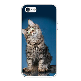 Чехол для iPhone 5/5S матовый с принтом Мейн-кун 2 в Петрозаводске, Силикон | Область печати: задняя сторона чехла, без боковых панелей | кот | котенок | котик | котэ | кошка | мейн кун | мейнкун | мэйн кун | мэйнкун