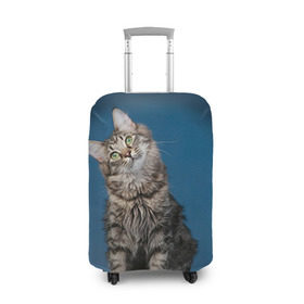 Чехол для чемодана 3D с принтом Мейн-кун 2 в Петрозаводске, 86% полиэфир, 14% спандекс | двустороннее нанесение принта, прорези для ручек и колес | Тематика изображения на принте: кот | котенок | котик | котэ | кошка | мейн кун | мейнкун | мэйн кун | мэйнкун