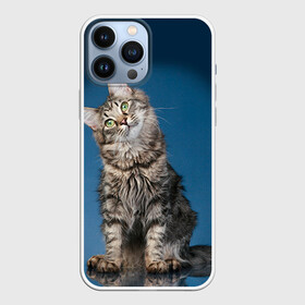 Чехол для iPhone 13 Pro Max с принтом Мейн кун 2 в Петрозаводске,  |  | Тематика изображения на принте: кот | котенок | котик | котэ | кошка | мейн кун | мейнкун | мэйн кун | мэйнкун