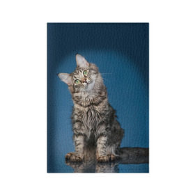 Обложка для паспорта матовая кожа с принтом Мейн-кун 2 в Петрозаводске, натуральная матовая кожа | размер 19,3 х 13,7 см; прозрачные пластиковые крепления | Тематика изображения на принте: кот | котенок | котик | котэ | кошка | мейн кун | мейнкун | мэйн кун | мэйнкун