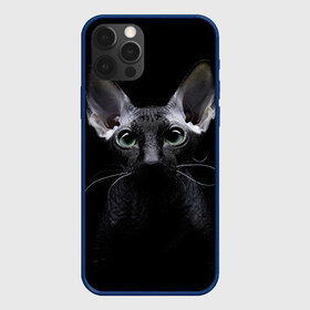 Чехол для iPhone 12 Pro Max с принтом Сфинкс 2 в Петрозаводске, Силикон |  | Тематика изображения на принте: кот | котенок | котик | котэ | кошка | сфинкс