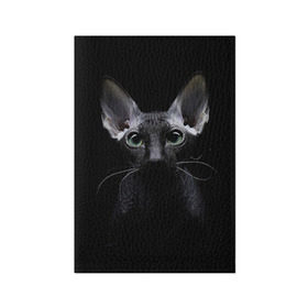 Обложка для паспорта матовая кожа с принтом Сфинкс 2 в Петрозаводске, натуральная матовая кожа | размер 19,3 х 13,7 см; прозрачные пластиковые крепления | кот | котенок | котик | котэ | кошка | сфинкс