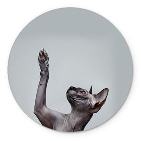 Коврик круглый с принтом Сфинкс 3 в Петрозаводске, резина и полиэстер | круглая форма, изображение наносится на всю лицевую часть | Тематика изображения на принте: кот | котенок | котик | котэ | кошка | сфинкс