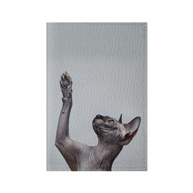 Обложка для паспорта матовая кожа с принтом Сфинкс 3 в Петрозаводске, натуральная матовая кожа | размер 19,3 х 13,7 см; прозрачные пластиковые крепления | Тематика изображения на принте: кот | котенок | котик | котэ | кошка | сфинкс