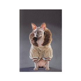 Обложка для паспорта матовая кожа с принтом Сфинкс 4 в Петрозаводске, натуральная матовая кожа | размер 19,3 х 13,7 см; прозрачные пластиковые крепления | Тематика изображения на принте: кот | котенок | котик | котэ | кошка | сфинкс