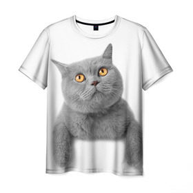 Мужская футболка 3D с принтом Британец 2 в Петрозаводске, 100% полиэфир | прямой крой, круглый вырез горловины, длина до линии бедер | Тематика изображения на принте: британец | британская | британцы | кот | котенок | котик | котэ | кошка