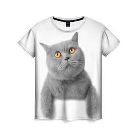 Женская футболка 3D с принтом Британец 2 в Петрозаводске, 100% полиэфир ( синтетическое хлопкоподобное полотно) | прямой крой, круглый вырез горловины, длина до линии бедер | британец | британская | британцы | кот | котенок | котик | котэ | кошка