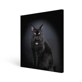 Холст квадратный с принтом Мейн-кун 3 в Петрозаводске, 100% ПВХ |  | кот | котенок | котик | котэ | кошка | мейн кун | мейнкун | мэйн кун | мэйнкун