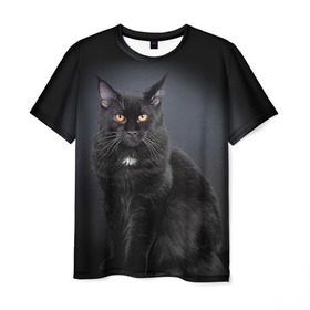 Мужская футболка 3D с принтом Мейн-кун 3 в Петрозаводске, 100% полиэфир | прямой крой, круглый вырез горловины, длина до линии бедер | кот | котенок | котик | котэ | кошка | мейн кун | мейнкун | мэйн кун | мэйнкун