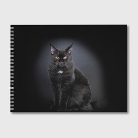 Альбом для рисования с принтом Мейн-кун 3 в Петрозаводске, 100% бумага
 | матовая бумага, плотность 200 мг. | кот | котенок | котик | котэ | кошка | мейн кун | мейнкун | мэйн кун | мэйнкун