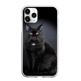 Чехол для iPhone 11 Pro матовый с принтом Мейн-кун 3 в Петрозаводске, Силикон |  | Тематика изображения на принте: кот | котенок | котик | котэ | кошка | мейн кун | мейнкун | мэйн кун | мэйнкун