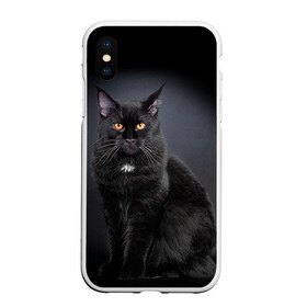 Чехол для iPhone XS Max матовый с принтом Мейн-кун 3 в Петрозаводске, Силикон | Область печати: задняя сторона чехла, без боковых панелей | кот | котенок | котик | котэ | кошка | мейн кун | мейнкун | мэйн кун | мэйнкун