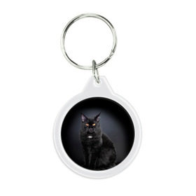 Брелок круглый с принтом Мейн-кун 3 в Петрозаводске, пластик и полированная сталь | круглая форма, металлическое крепление в виде кольца | кот | котенок | котик | котэ | кошка | мейн кун | мейнкун | мэйн кун | мэйнкун