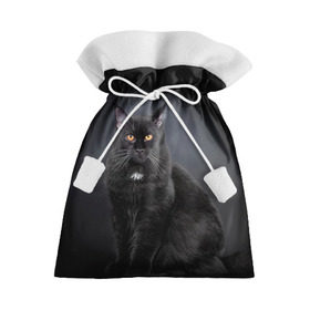 Подарочный 3D мешок с принтом Мейн-кун 3 в Петрозаводске, 100% полиэстер | Размер: 29*39 см | Тематика изображения на принте: кот | котенок | котик | котэ | кошка | мейн кун | мейнкун | мэйн кун | мэйнкун