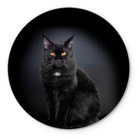 Коврик круглый с принтом Мейн-кун 3 в Петрозаводске, резина и полиэстер | круглая форма, изображение наносится на всю лицевую часть | кот | котенок | котик | котэ | кошка | мейн кун | мейнкун | мэйн кун | мэйнкун