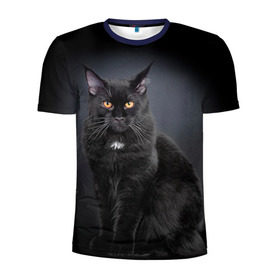 Мужская футболка 3D спортивная с принтом Мейн-кун 3 в Петрозаводске, 100% полиэстер с улучшенными характеристиками | приталенный силуэт, круглая горловина, широкие плечи, сужается к линии бедра | кот | котенок | котик | котэ | кошка | мейн кун | мейнкун | мэйн кун | мэйнкун