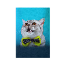 Обложка для паспорта матовая кожа с принтом Британец 3 в Петрозаводске, натуральная матовая кожа | размер 19,3 х 13,7 см; прозрачные пластиковые крепления | Тематика изображения на принте: британец | британская | британцы | кот | котенок | котик | котэ | кошка