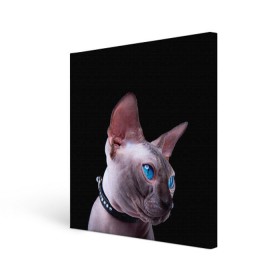 Холст квадратный с принтом Сфинкс 6 в Петрозаводске, 100% ПВХ |  | кот | котенок | котик | котэ | кошка | сфинкс