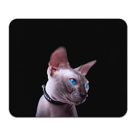 Коврик прямоугольный с принтом Сфинкс 6 в Петрозаводске, натуральный каучук | размер 230 х 185 мм; запечатка лицевой стороны | Тематика изображения на принте: кот | котенок | котик | котэ | кошка | сфинкс