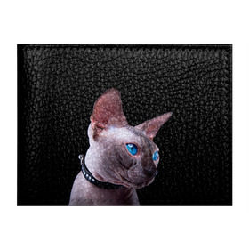 Обложка для студенческого билета с принтом Сфинкс 6 в Петрозаводске, натуральная кожа | Размер: 11*8 см; Печать на всей внешней стороне | кот | котенок | котик | котэ | кошка | сфинкс