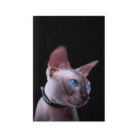 Обложка для паспорта матовая кожа с принтом Сфинкс 6 в Петрозаводске, натуральная матовая кожа | размер 19,3 х 13,7 см; прозрачные пластиковые крепления | кот | котенок | котик | котэ | кошка | сфинкс