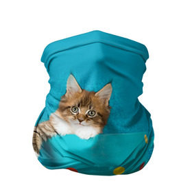 Бандана-труба 3D с принтом Мейн-кун 4 в Петрозаводске, 100% полиэстер, ткань с особыми свойствами — Activecool | плотность 150‒180 г/м2; хорошо тянется, но сохраняет форму | кот | котенок | котик | котэ | кошка | мейн кун | мейнкун | мэйн кун | мэйнкун