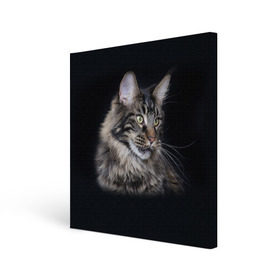 Холст квадратный с принтом Мейн-кун 5 в Петрозаводске, 100% ПВХ |  | кот | котенок | котик | котэ | кошка | мейн кун | мейнкун | мэйн кун | мэйнкун
