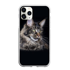 Чехол для iPhone 11 Pro матовый с принтом Мейн-кун 5 в Петрозаводске, Силикон |  | кот | котенок | котик | котэ | кошка | мейн кун | мейнкун | мэйн кун | мэйнкун