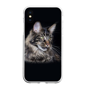 Чехол для iPhone XS Max матовый с принтом Мейн-кун 5 в Петрозаводске, Силикон | Область печати: задняя сторона чехла, без боковых панелей | кот | котенок | котик | котэ | кошка | мейн кун | мейнкун | мэйн кун | мэйнкун