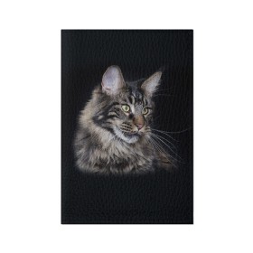 Обложка для паспорта матовая кожа с принтом Мейн-кун 5 в Петрозаводске, натуральная матовая кожа | размер 19,3 х 13,7 см; прозрачные пластиковые крепления | кот | котенок | котик | котэ | кошка | мейн кун | мейнкун | мэйн кун | мэйнкун
