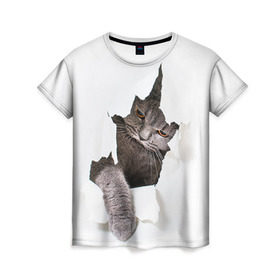 Женская футболка 3D с принтом Британец 4 в Петрозаводске, 100% полиэфир ( синтетическое хлопкоподобное полотно) | прямой крой, круглый вырез горловины, длина до линии бедер | британец | британская | британцы | кот | котенок | котик | котэ | кошка