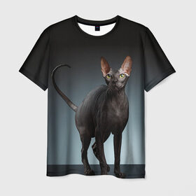 Мужская футболка 3D с принтом Сфинкс 7 в Петрозаводске, 100% полиэфир | прямой крой, круглый вырез горловины, длина до линии бедер | кот | котенок | котик | котэ | кошка | сфинкс