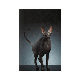 Обложка для паспорта матовая кожа с принтом Сфинкс 7 в Петрозаводске, натуральная матовая кожа | размер 19,3 х 13,7 см; прозрачные пластиковые крепления | кот | котенок | котик | котэ | кошка | сфинкс