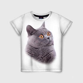 Детская футболка 3D с принтом Британец 5 в Петрозаводске, 100% гипоаллергенный полиэфир | прямой крой, круглый вырез горловины, длина до линии бедер, чуть спущенное плечо, ткань немного тянется | британец | британская | британцы | кот | котенок | котик | котэ | кошка
