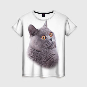 Женская футболка 3D с принтом Британец 5 в Петрозаводске, 100% полиэфир ( синтетическое хлопкоподобное полотно) | прямой крой, круглый вырез горловины, длина до линии бедер | британец | британская | британцы | кот | котенок | котик | котэ | кошка
