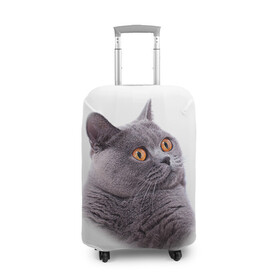 Чехол для чемодана 3D с принтом Британец 5 в Петрозаводске, 86% полиэфир, 14% спандекс | двустороннее нанесение принта, прорези для ручек и колес | британец | британская | британцы | кот | котенок | котик | котэ | кошка