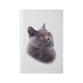 Обложка для паспорта матовая кожа с принтом Британец 5 в Петрозаводске, натуральная матовая кожа | размер 19,3 х 13,7 см; прозрачные пластиковые крепления | Тематика изображения на принте: британец | британская | британцы | кот | котенок | котик | котэ | кошка